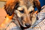     
: DSC_0397.jpg
: 15
:	167.8 
ID:	8098994