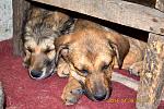     
: DSC_0409.jpg
: 10
:	187.5 
ID:	8099049