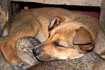     
: DSC_0410.jpg
: 17
:	170.7 
ID:	8099057