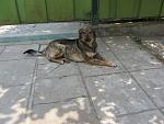     
: IMG_7943.jpg
: 4
:	146.4 
ID:	8100496