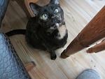     
: IMG_7956.jpg
: 5
:	98.0 
ID:	8100552
