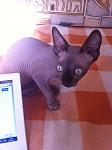     
: IMG_1577.jpg
: 10
:	77.7 
ID:	8101151