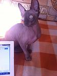     
: IMG_1578.jpg
: 8
:	76.1 
ID:	8101152