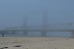     
: DSC_0775.JPG
: 15
:	83.1 
ID:	8104322