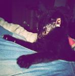     
: IMG_7437.jpg
: 8
:	61.7 
ID:	8109661
