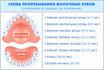     
: molochnye-zuby-prorezyvanie-shema1.gif
: 237
:	46.4 
ID:	8111992