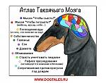     
: xXqJRX3zAzE.jpg
: 28
:	65.9 
ID:	8112265