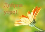     
: 608811485.jpg
: 17
:	10.2 
ID:	8114570