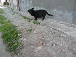     
: IMG_7982.jpg
: 12
:	220.1 
ID:	8114644