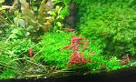     
: WP_20140504_001.jpg
: 23
:	233.8 
ID:	8115169