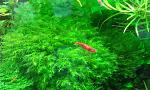     
: WP_20140501_020.jpg
: 16
:	192.2 
ID:	8115170