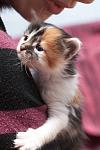     
: DSC_1456.jpg
: 8
:	59.0 
ID:	8117355