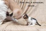     
: DSC_1501 copy.jpg
: 6
:	68.9 
ID:	8117358