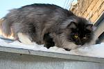     
: IMG_1574.jpg
: 10
:	120.0 
ID:	8117615