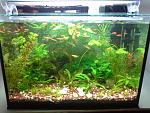     
: 20140505_1929482059285248.jpg
: 29
:	235.1 
ID:	8117706