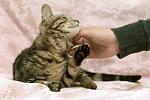     
: DSC_0259.jpg
: 6
:	50.6 
ID:	8117976