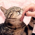     
: DSC_0258.jpg
: 11
:	97.9 
ID:	8117978