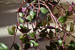     
: DSC_5387.jpg
: 5
:	123.4 
ID:	8118061
