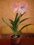     
: DSC01724.jpg
: 13
:	68.4 
ID:	8119000
