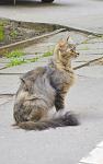     
: _DSC0316.jpg
: 17
:	67.7 
ID:	8120872