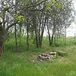     
: IMG_2662.jpg
: 21
:	258.0 
ID:	8120927