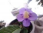     
: 2014-02-05 07.52.31.jpg
: 8
:	77.4 
ID:	8123841