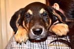     
: DSC_0388.jpg
: 10
:	141.3 
ID:	8123976