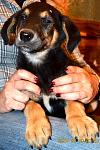     
: DSC_0386.jpg
: 8
:	116.8 
ID:	8123977