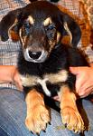     
: DSC_0383.jpg
: 11
:	108.8 
ID:	8123978