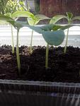     
: IMG_20140508_143134.jpg
: 78
:	66.8 
ID:	8126733