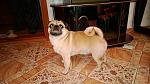    
: WP_20140118_16_22_46_Pro.jpg
: 12
:	260.2 
ID:	8126784