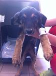     
: IMG_1170.jpg
: 9
:	80.6 
ID:	8127446