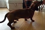     
: 20140508_142823-1000.jpg
: 11
:	39.7 
ID:	8127474