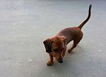     
: 20140508_140013-1000.jpg
: 13
:	42.2 
ID:	8127475