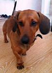     
: 20140508_142605-1000.jpg
: 11
:	45.5 
ID:	8127476