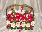     
: DSC06430.jpg
: 63
:	164.9 
ID:	8128588