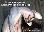     
: eDVJ5RxhrC0.jpg
: 12
:	33.2 
ID:	8128809