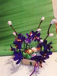    
: IMG_20140413_005836.jpg
: 21
:	128.9 
ID:	8128948