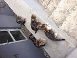     
: image.jpg
: 67
:	173.7 
ID:	8130116