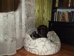     
: DSCF2523.jpg
: 25
:	119.6 
ID:	8139758
