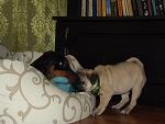     
: DSCF2519.jpg
: 24
:	140.7 
ID:	8139764