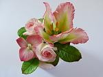     
: tulip - 1.jpg
: 23
:	107.2 
ID:	8139772