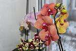     
: IMG_1157.jpg
: 21
:	92.4 
ID:	8141994