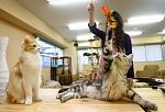     
: s3img_38147700_6406_1.jpg
: 42
:	36.8 
ID:	814557