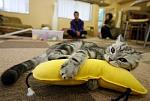     
: s3img_38147700_6409_1.jpg
: 42
:	38.4 
ID:	814558