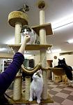     
: s3img_38147700_6411_1.jpg
: 41
:	51.1 
ID:	814561