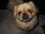     
: DSCN3560.jpg
: 7
:	105.8 
ID:	8148601
