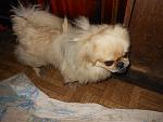     
: DSCN3559.jpg
: 5
:	146.1 
ID:	8148602