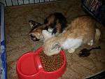     
: 20140512_183159.jpg
: 13
:	166.1 
ID:	8149635