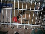     
: 20140512_183130.jpg
: 11
:	161.5 
ID:	8149642